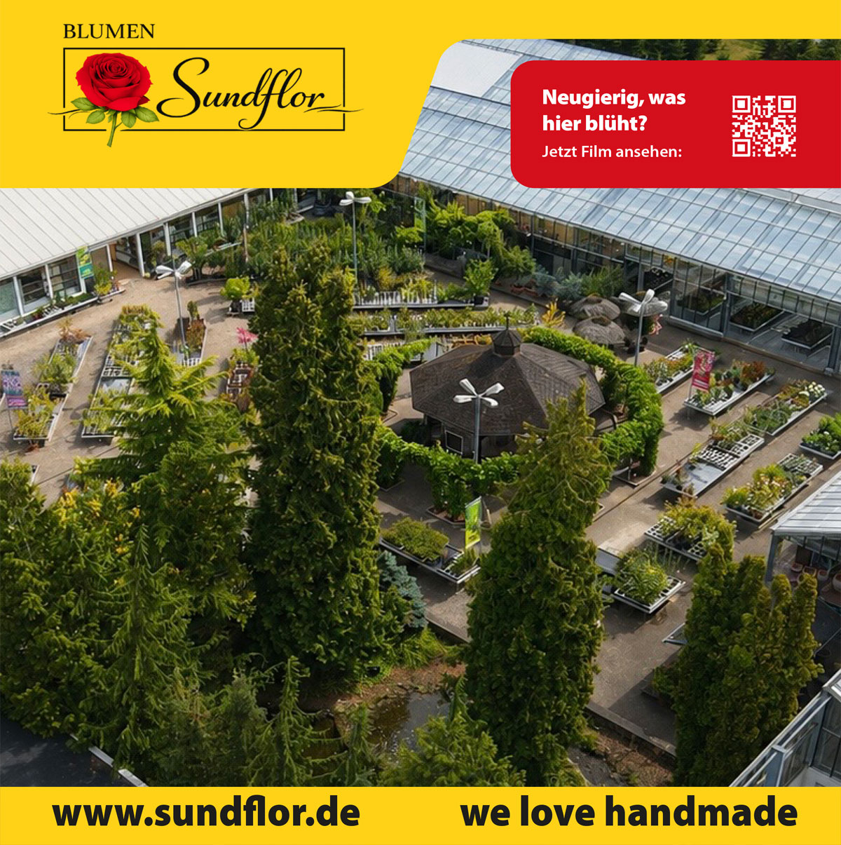 sundflor_image-1200×1205